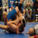 C-S-B  Holiday  Duals