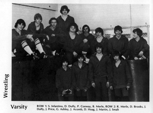 1977-1978 Dansville Mustangs Varsity Wrestling