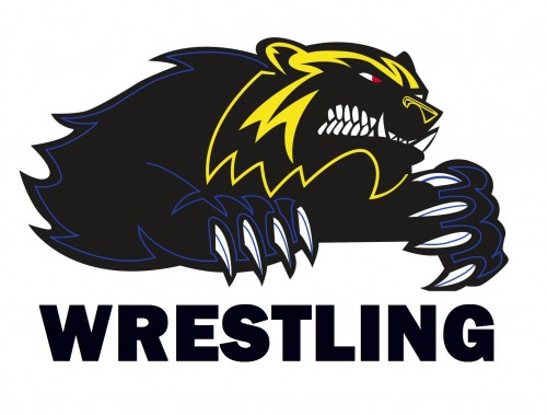 Niagara Falls Wolverines