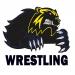 Niagara Falls Wolverines