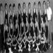 1972-1973 Kenmore East Bulldogs JV Wrestling