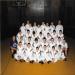 2003-2004 Albion Purple Eagles Wrestling