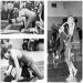 1972-1973 Medina Mustangs