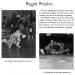1967-1968 Monroe Redjackets