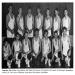 1968-1969 Corning East Trojans