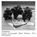 2001-2002 Batavia Blue Devils