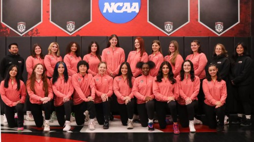 2025-2026 D'Youville Saints